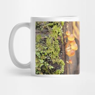 Very young sulphur tuft mushrooms Mug